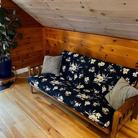 Bright And Cozy Treehouse Apartment Бърлингтън Екстериор снимка