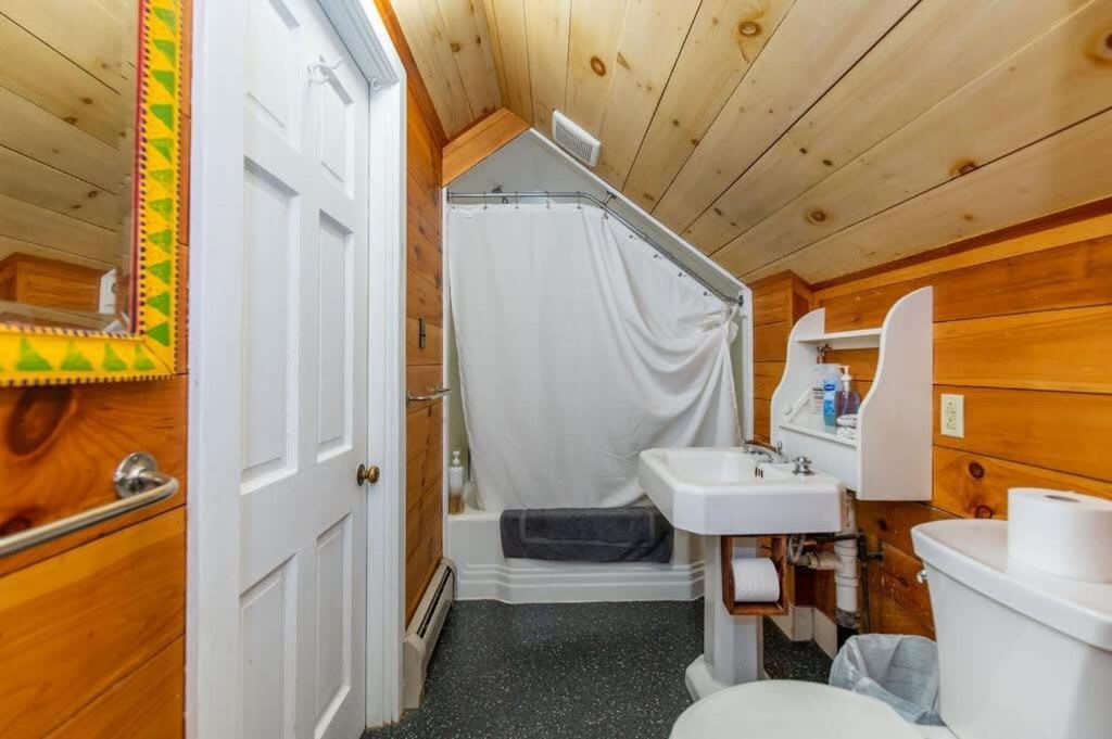 Bright And Cozy Treehouse Apartment Бърлингтън Екстериор снимка